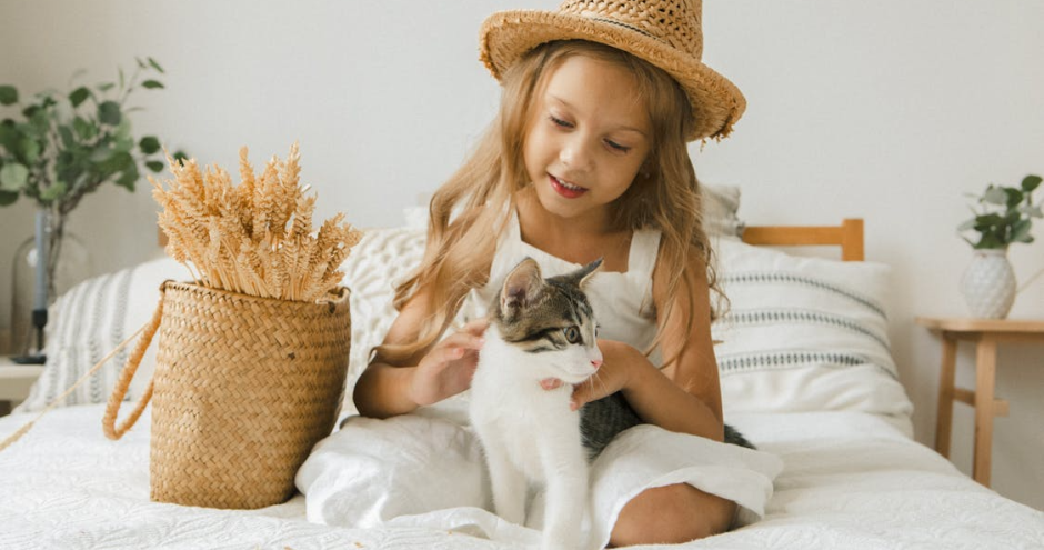 Kinderen en kittens: Zo leer je ze beide verantwoordelijkheid | Blog KittenTeKoop